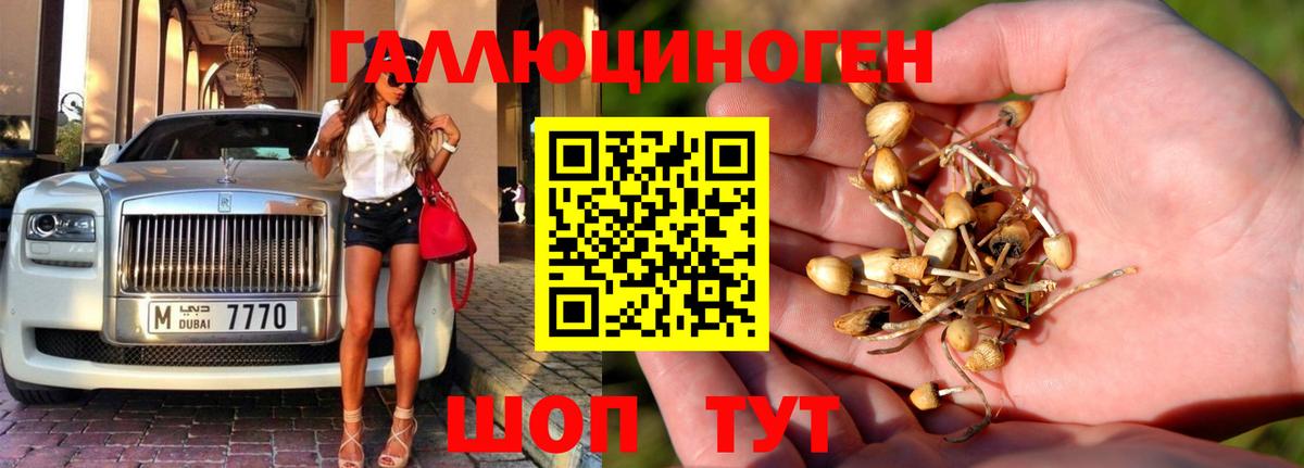 Псилоцибиновые грибы Cubensis  Вход с VPN  Павловский Посад 