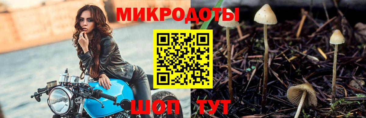Галлюциногенные грибы Psilocybine cubensis Павловский Посад